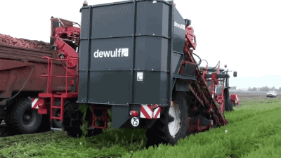 胡萝卜联合收割机,你见过么?