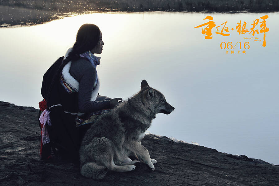 1/8 由真实事件改编的动物题材电影《重返·狼群》6月16日正式上映.
