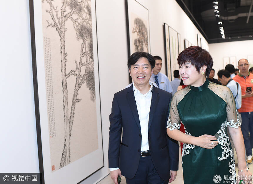 于丹穿墨绿纱裙打扮贵气 一路上获保镖护驾