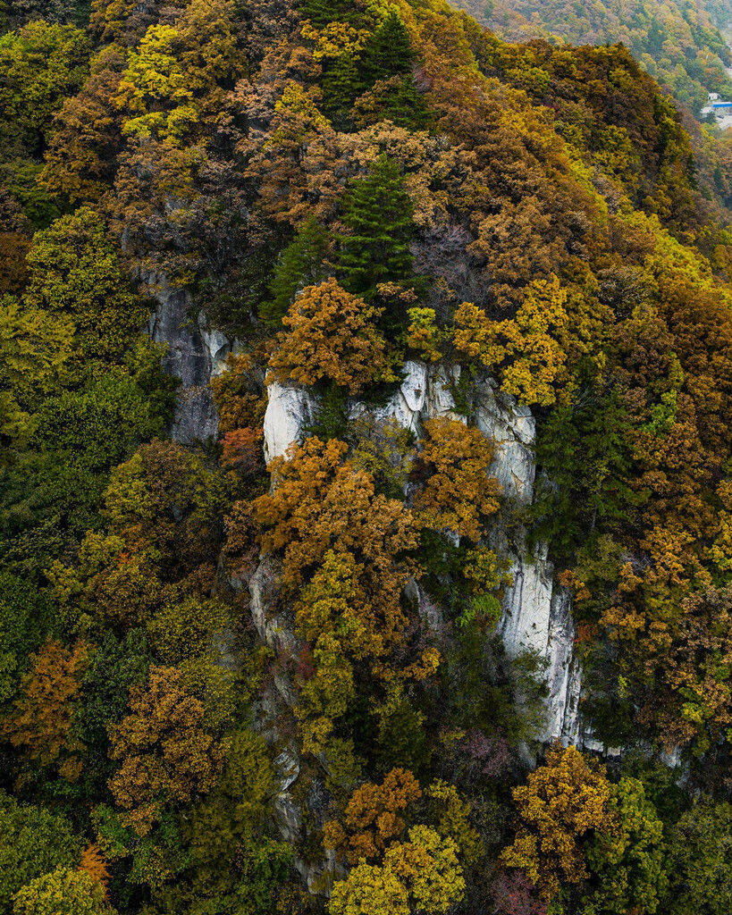 "层林尽染多彩尧山"——张军平优秀摄影作品赏析