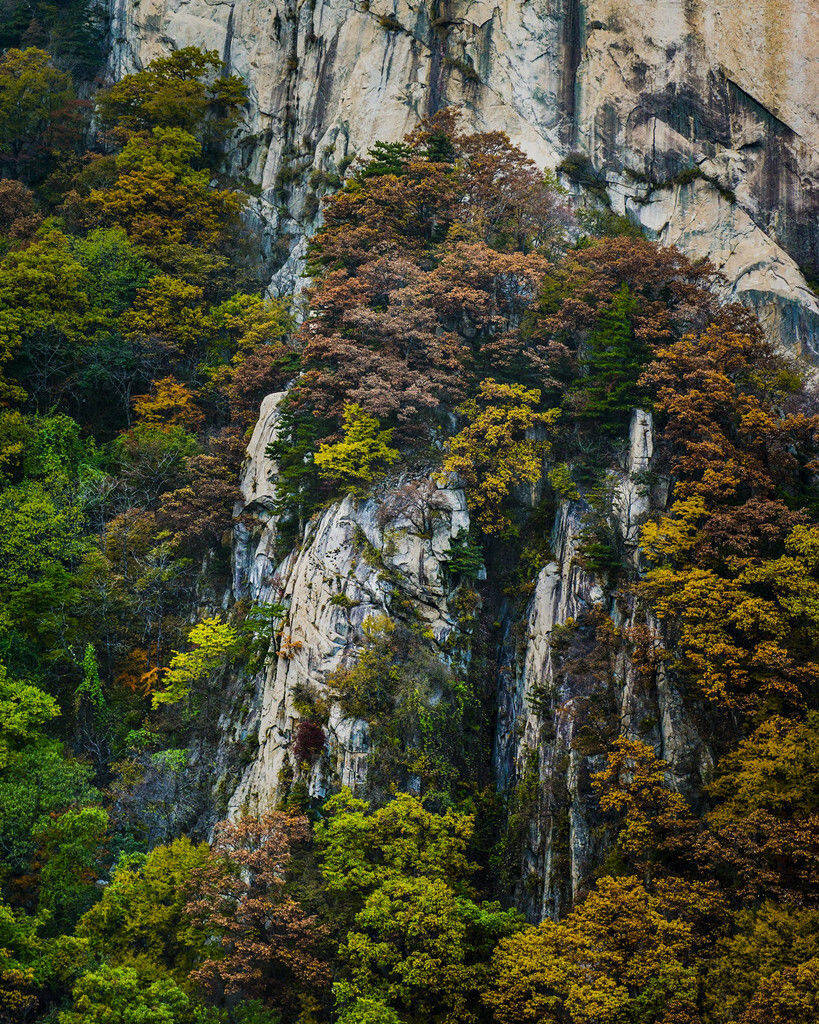 "层林尽染多彩尧山"——张军平优秀摄影作品赏析