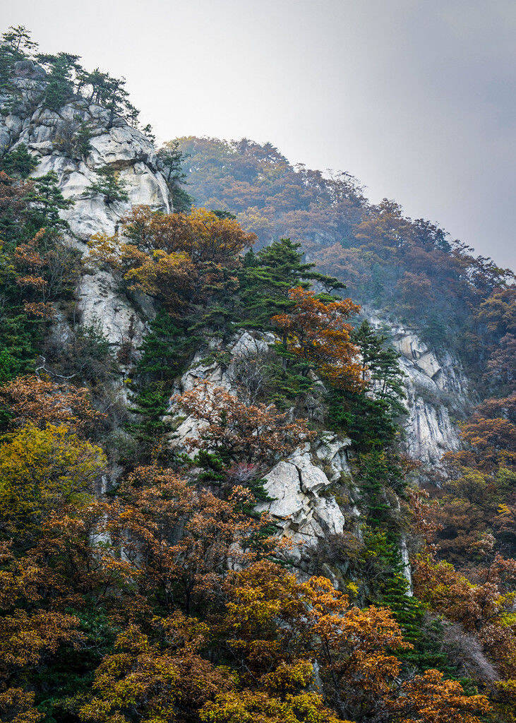 "层林尽染多彩尧山"——张军平优秀摄影作品赏析