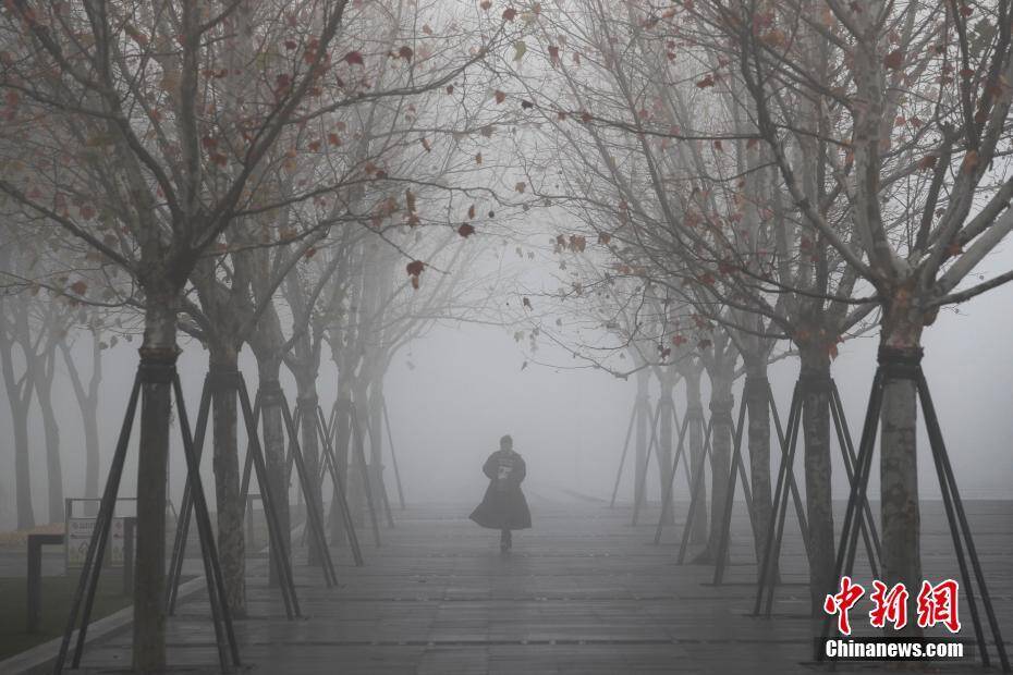 上海大雾弥漫 部分地区出现强浓雾_手机凤凰网