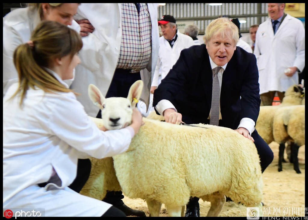 英国首相鲍里斯-约翰逊参观皇家威尔士冬季展,亲自体验了一次剪羊毛