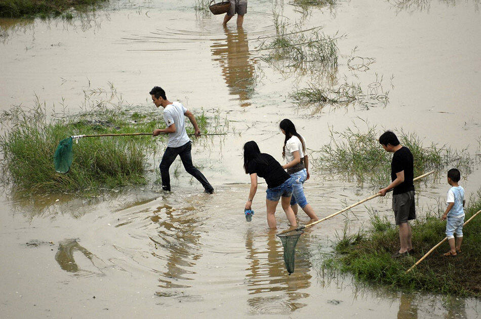 安徽一河裡現大量浮魚 市民聚集捕撈