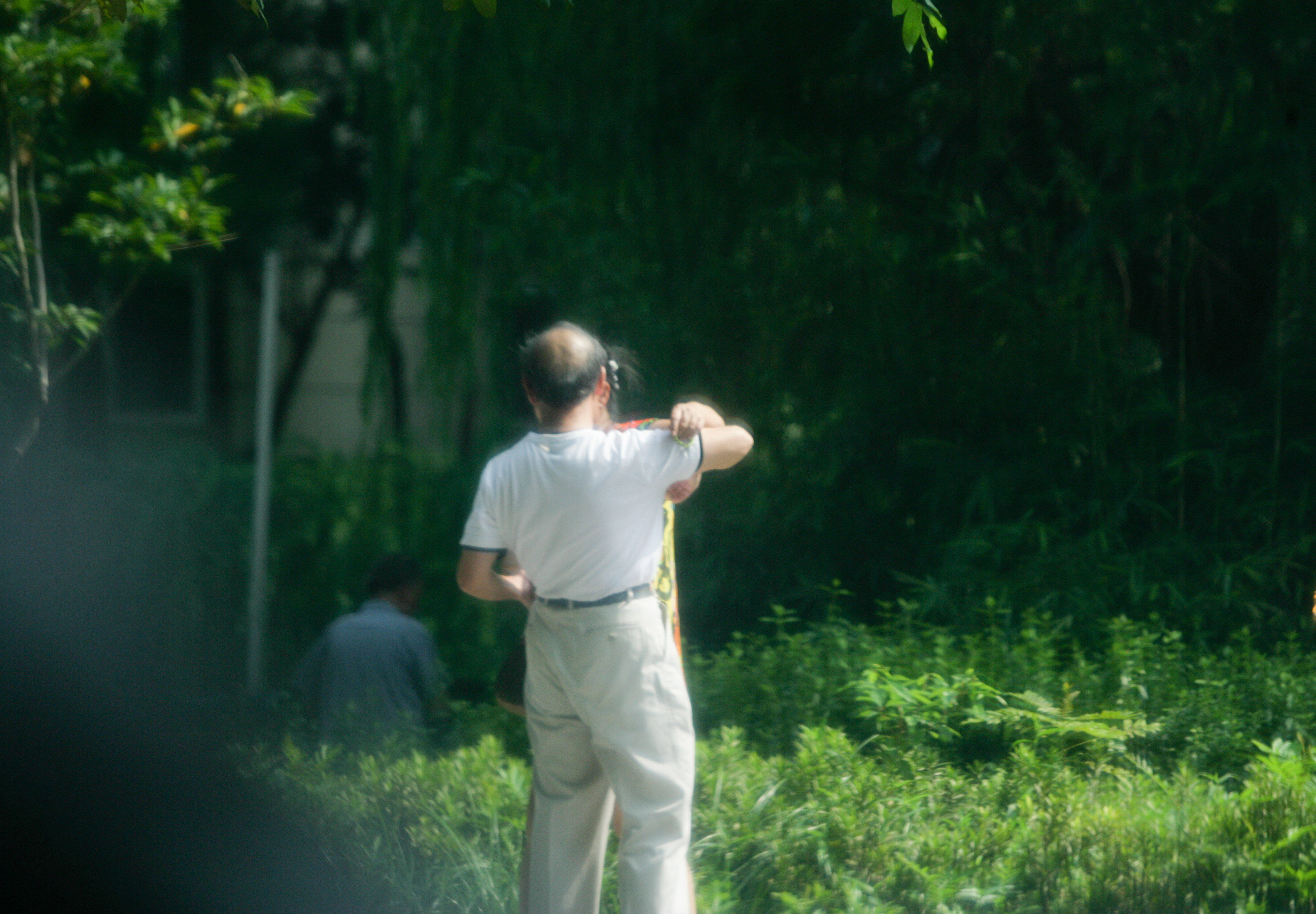 在一些公園裡,出現了色情服務,服務的對象主要是老年人