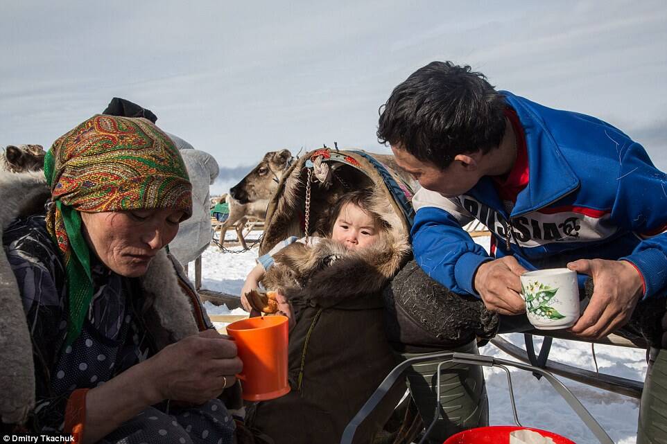 1/27 3月17日报道,俄罗斯摄影师德米特里特卡丘克(dmitry tkachuk)