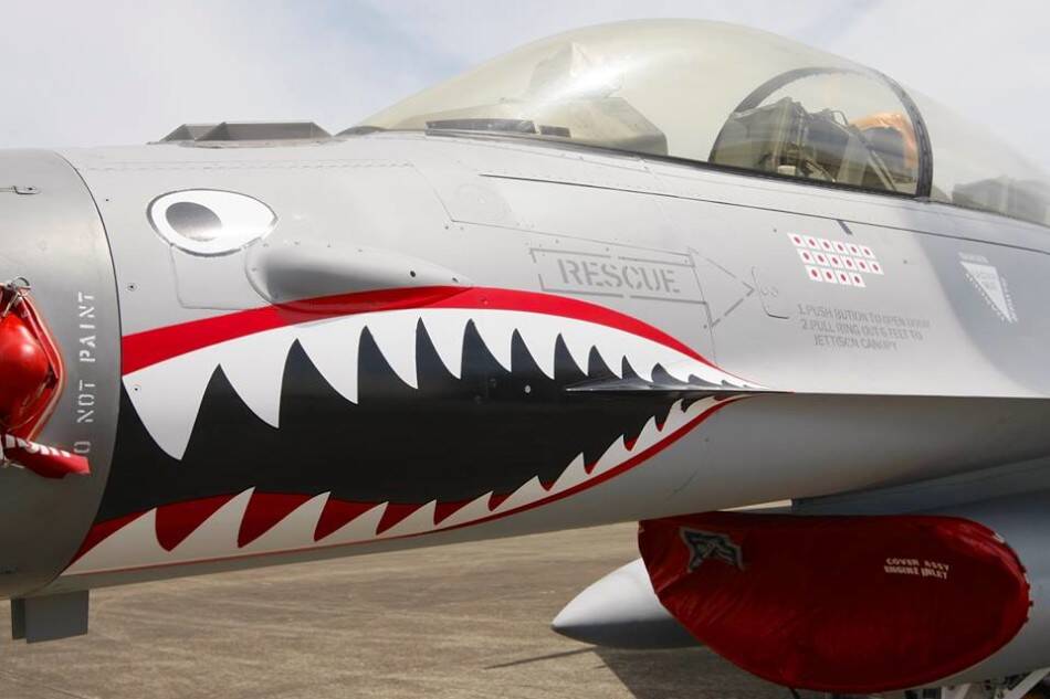 美国鲨鱼战斗机图片