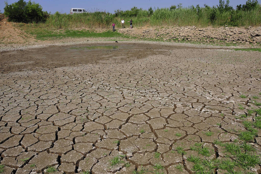 山东大旱:数不清的管子在水坑中抽水