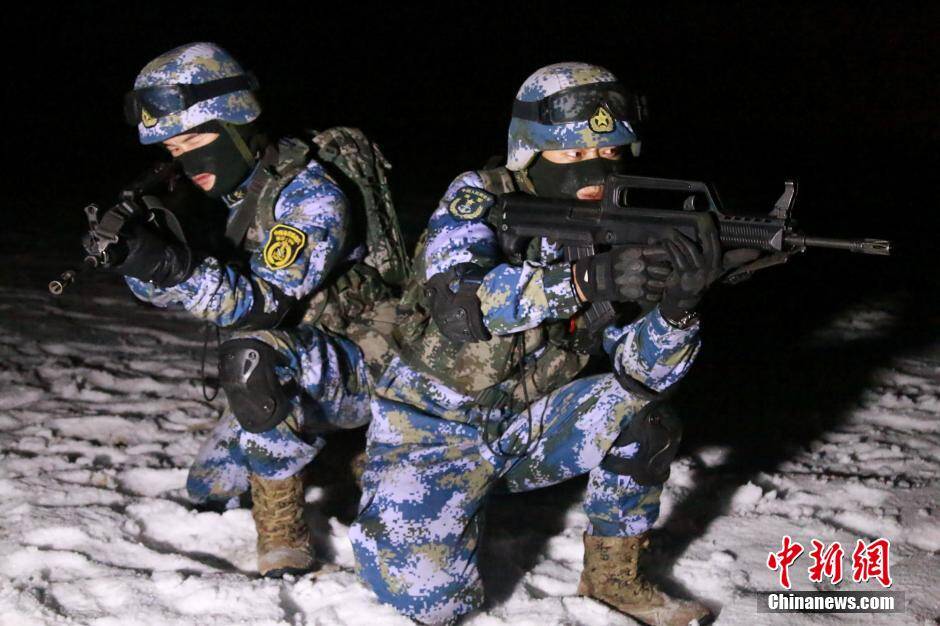 中国海军陆战队新迷彩图片