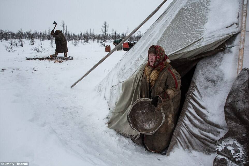 1/27 3月17日报道,俄罗斯摄影师德米特里特卡丘克(dmitry tkachuk)
