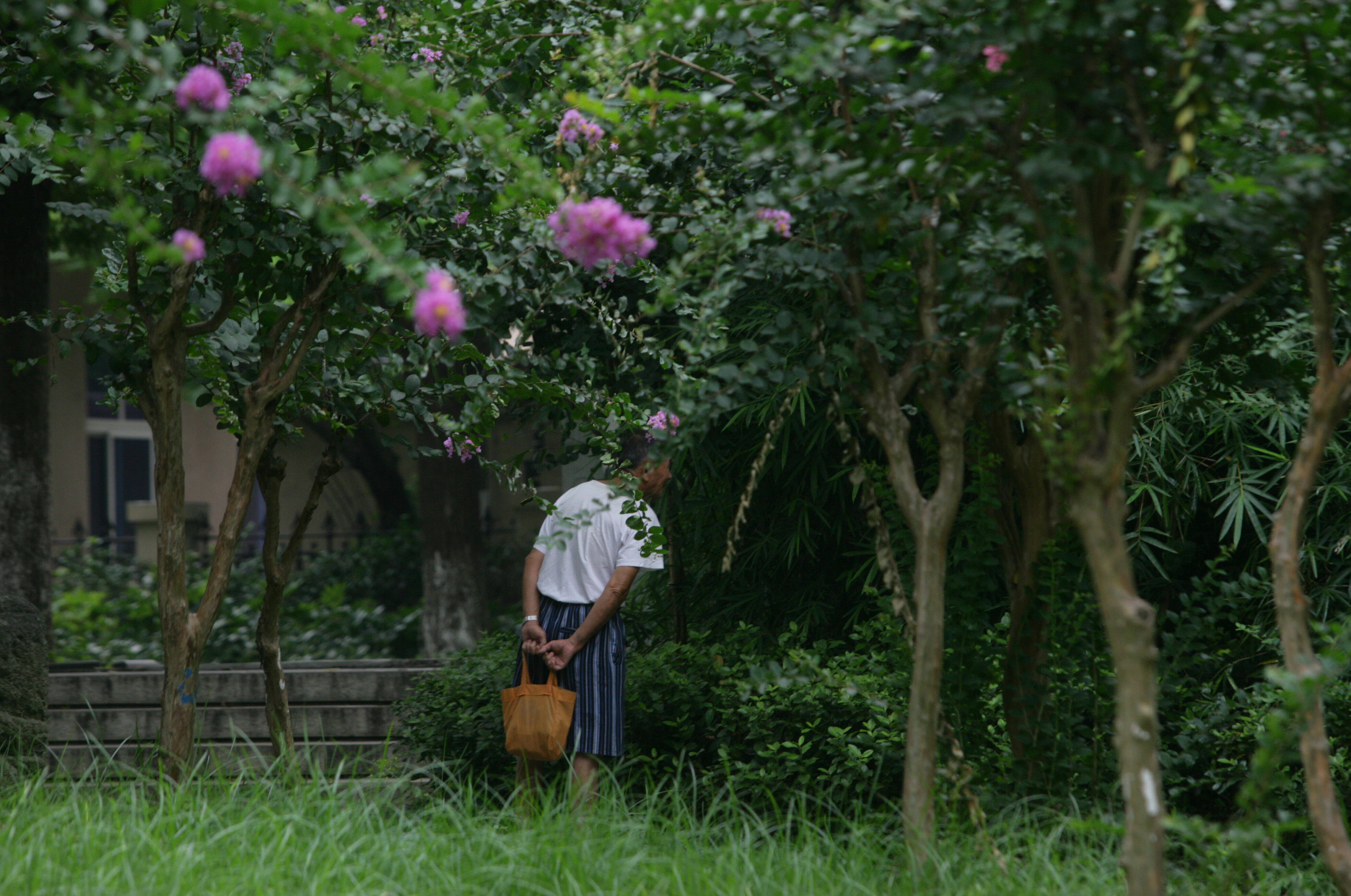 在一些公園裡,出現了色情服務,服務的對象主要是老年人