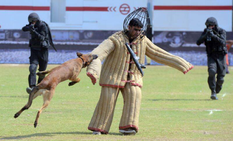 印度黑猫突击队表演特技:胸口碎大石 驯服猛犬