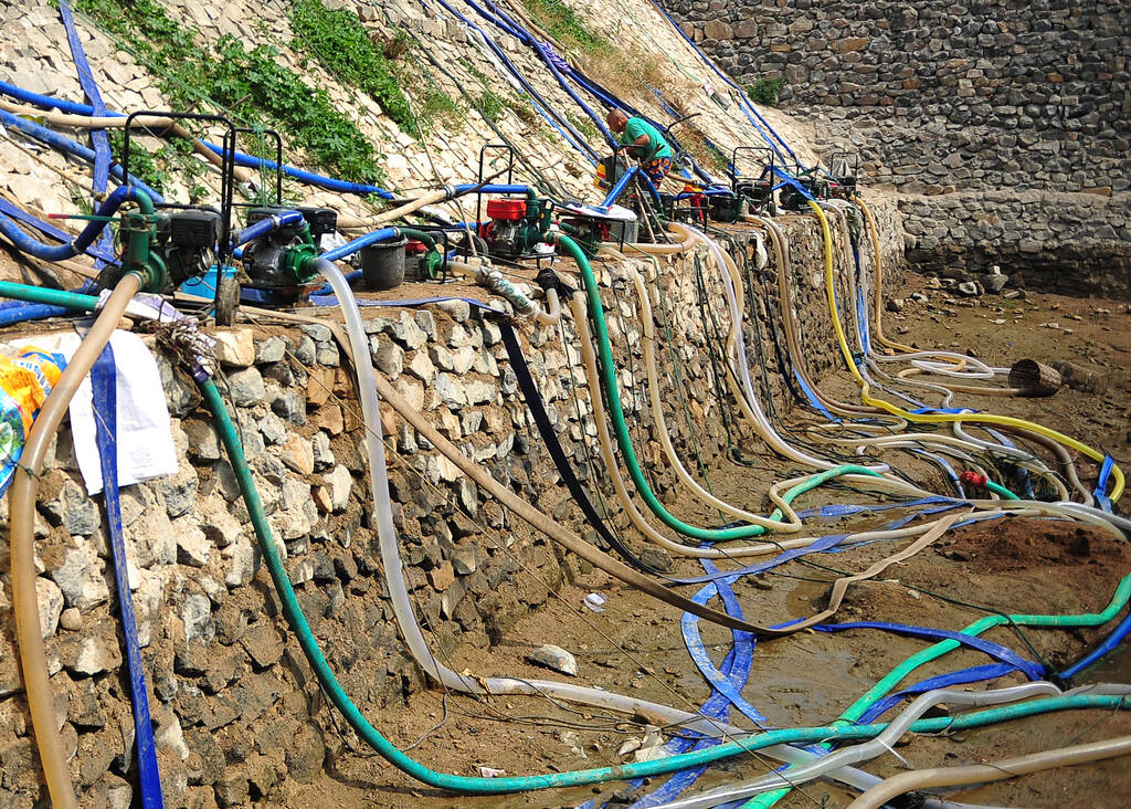 山东大旱:数不清的管子在水坑中抽水