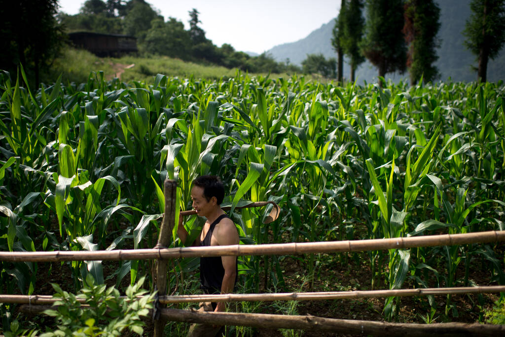 女子被村民救命后 嫁给他隐居深山18年