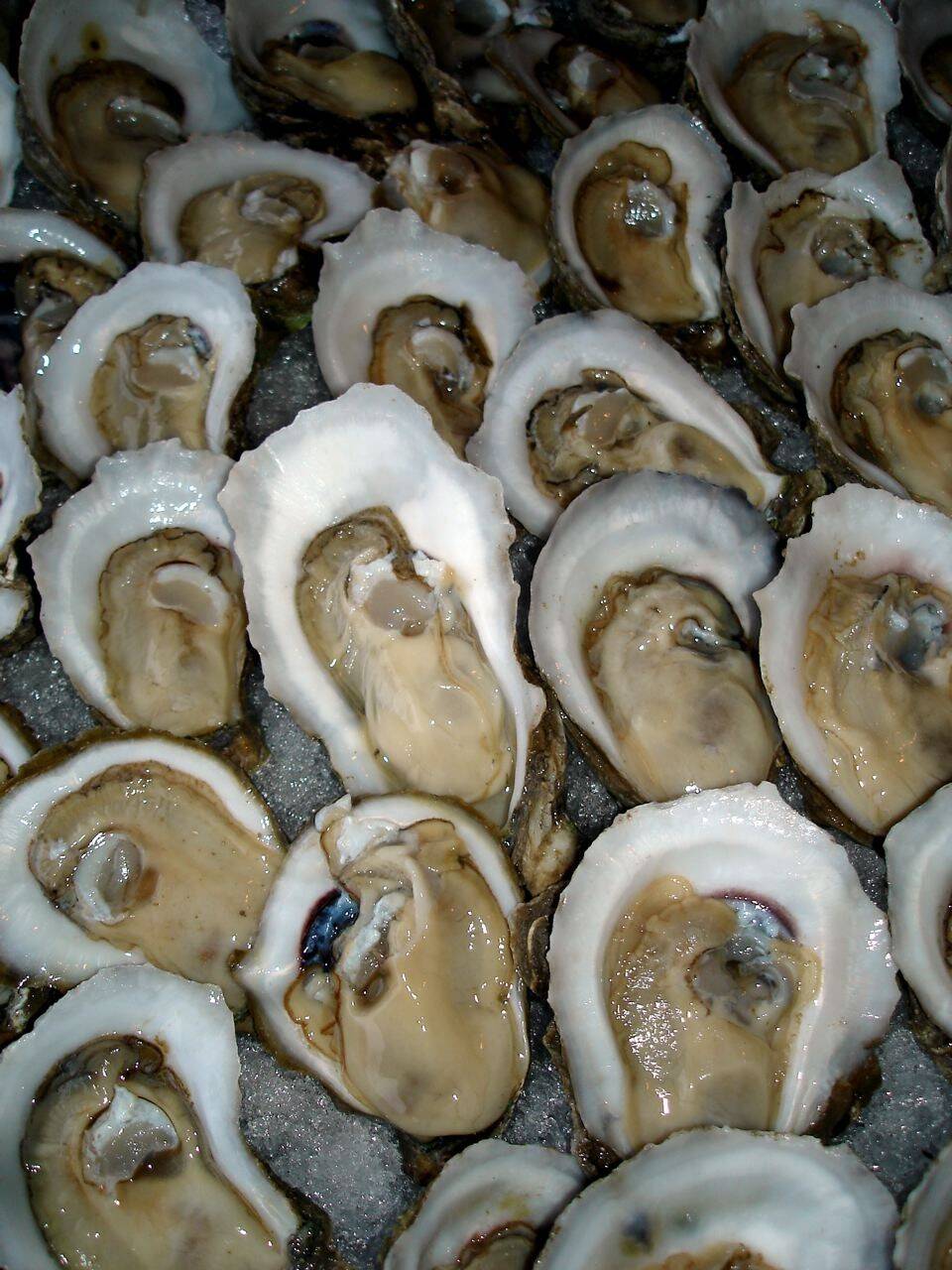 一颗牡蛎中竟发现10颗珍珠 幸运男子意外赚大发