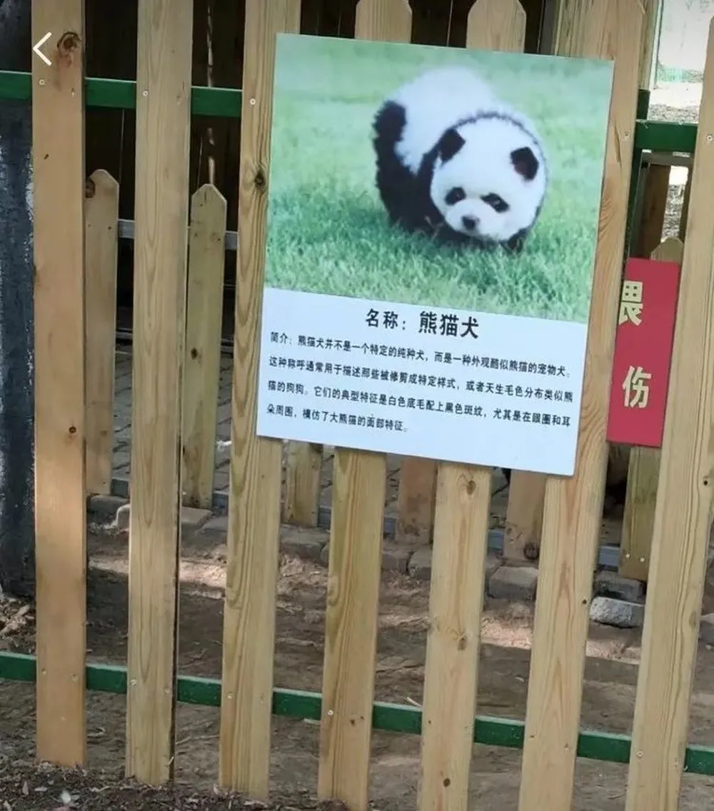 ͼԴ