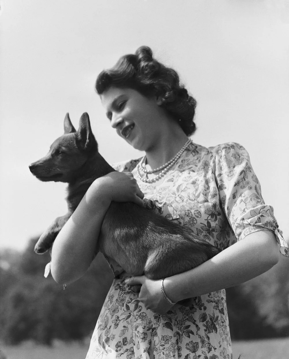 1944年5月30日，英国温莎，伊丽莎白公主抱着爱犬Susan，这是她的18岁生日礼物，从此与柯基结下了不解之缘。女王一生养过30多只柯基，视其为王室成员一份子。在多年的陪伴中，柯基近乎是女王和皇室的象征，深受大家欢迎。