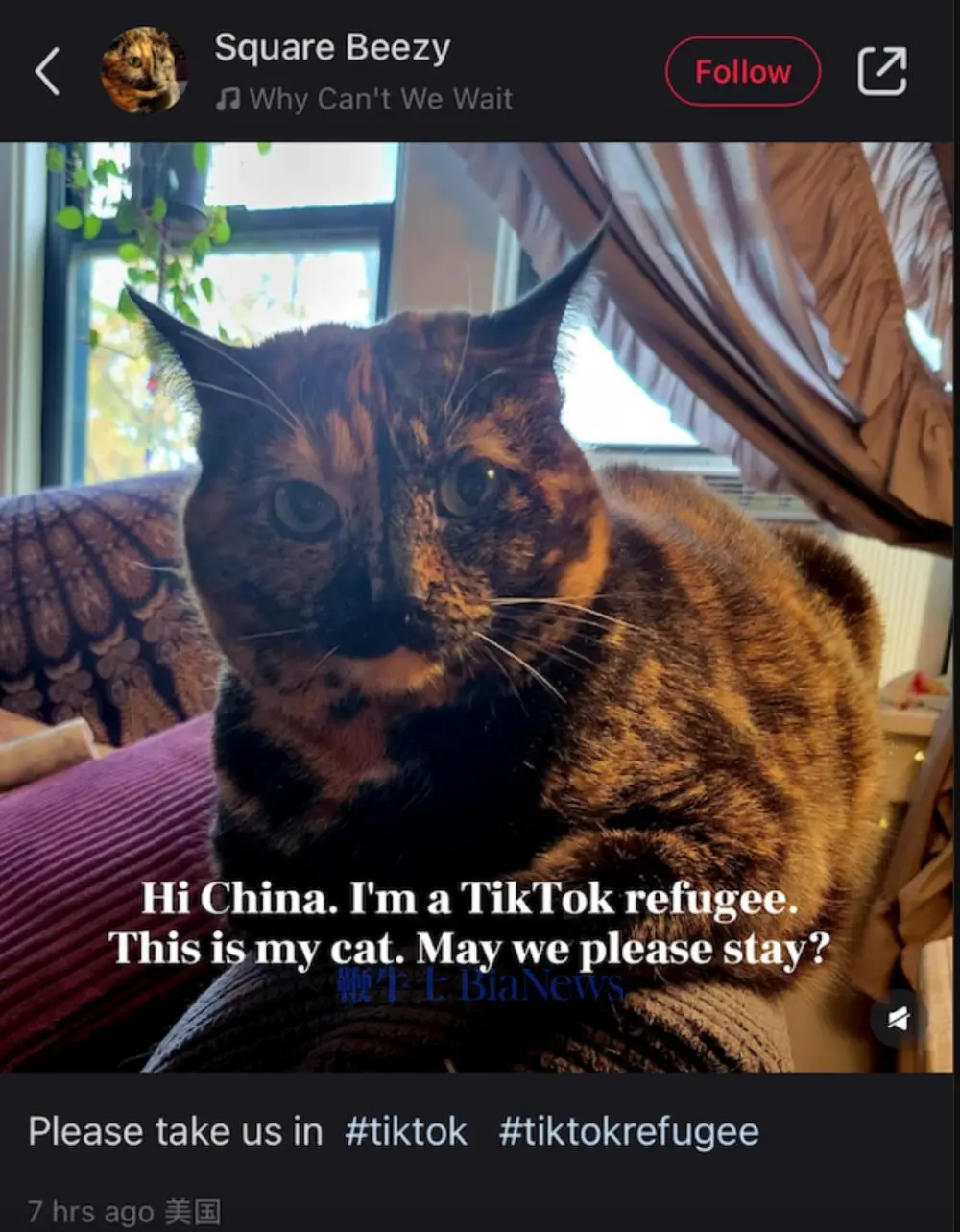 TikTok跌倒，小红书吃饱：TikTok难民推动小红书成苹果美榜第一_https://www.izongheng.net_互联网_第2张