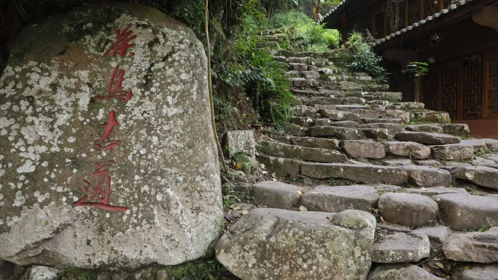 图为2023年11月29日在云南宁洱县拍摄的云南茶马古道那柯里路段遗址。新华社记者 胡超 摄