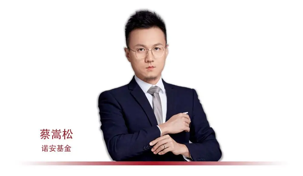 九月九日忆追高兄弟，兼评诺安成长基金-诺安成长混合320007天天基金净值多少