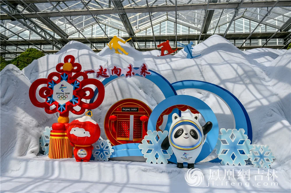 农博会上,用植物及粮食作物制作的“抗疫”和冬奥主题景观。凤凰网吉林 梁琪佳摄