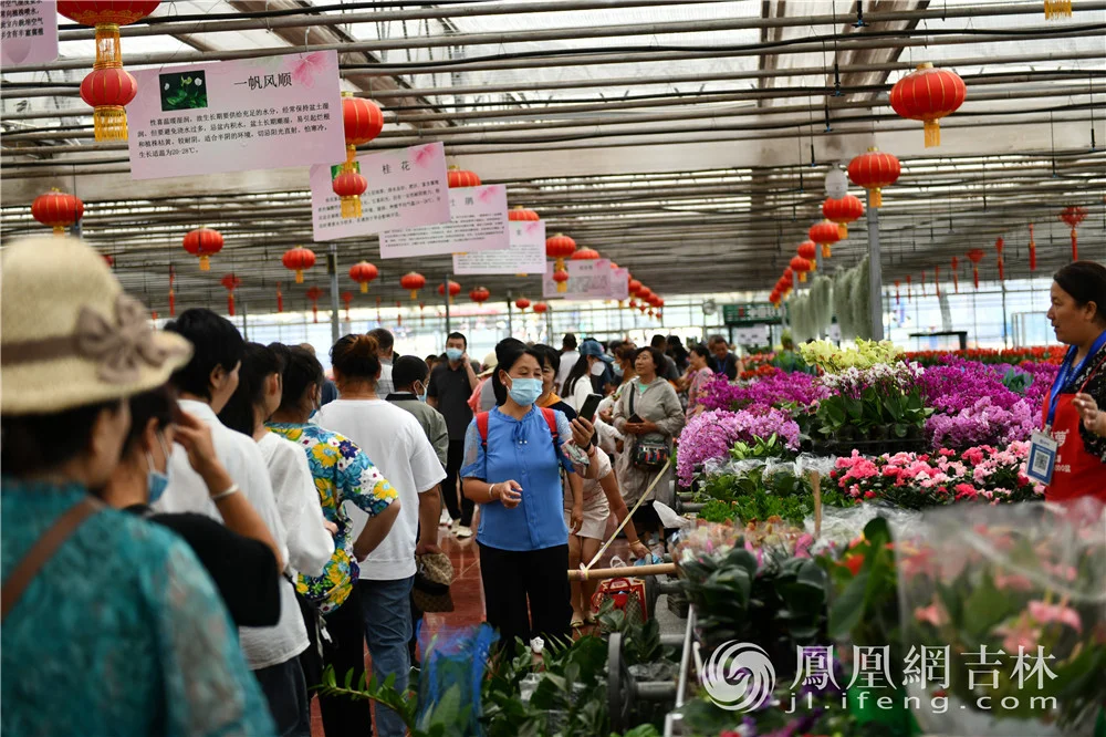 市民游客观展。凤凰网吉林 梁琪佳摄