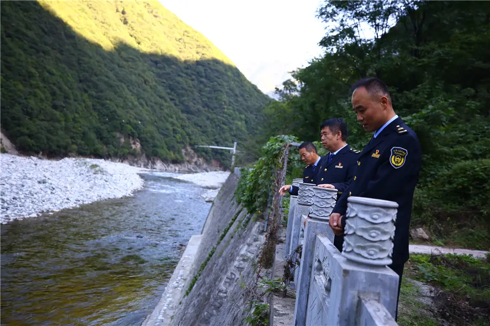 秦岭深处的恐怖（秦岭电影） 第2张