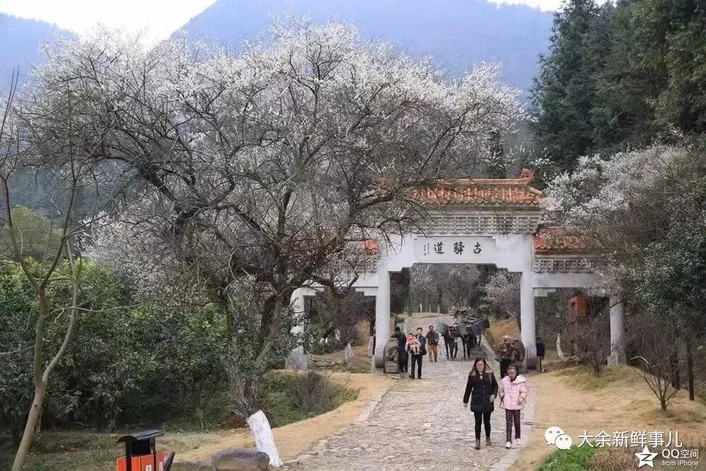 大余是哪个省的？已传疯，大余人都顶起！（大余县是哪个省的）