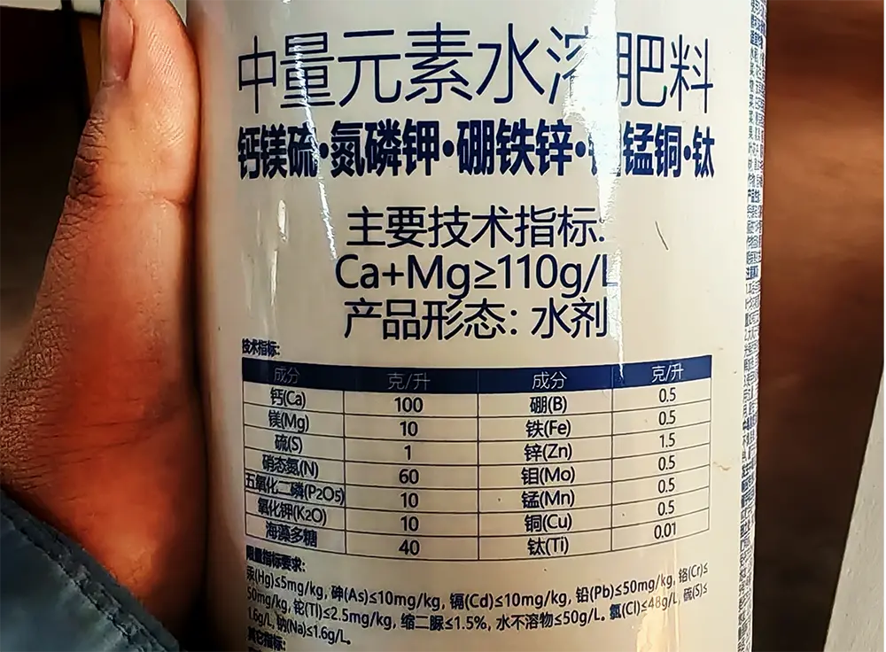 植物对钙肥需求较高（作者拍摄）