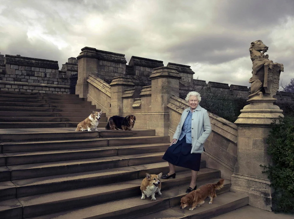 2012年，女王90岁生日时，白金汉宫发表了一张官方照片。照片中女王笑得无比灿烂，陪伴她的是两只柯基狗Willow和Holly（Susan的后代），还有两只柯基和腊肠的杂交犬Vulcan和Candy。