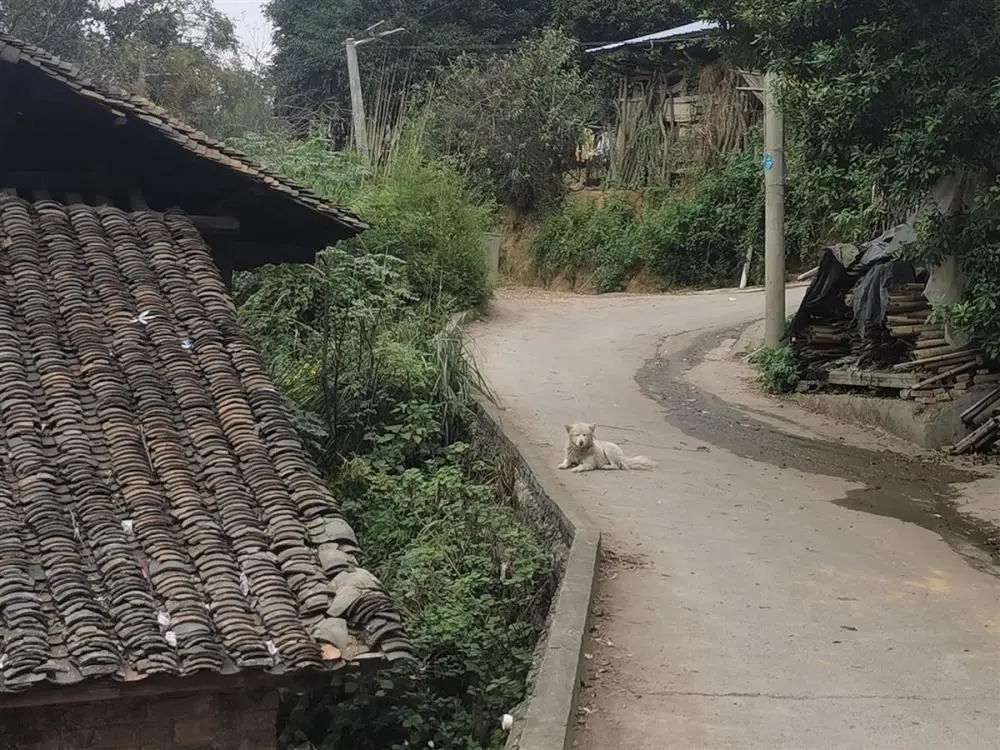 洦ɼĹӣͼԴ磩