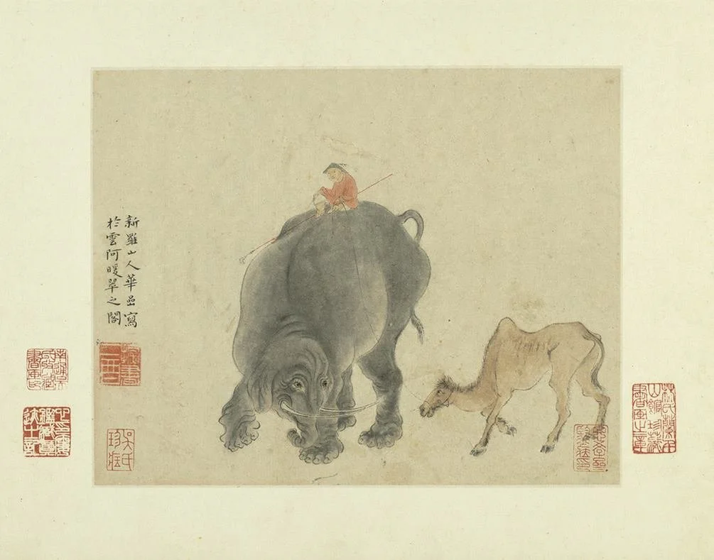 华喦写生册 上册 第一幅 象驼 20×25.4公分 兰千山馆寄存台北故宮博物院