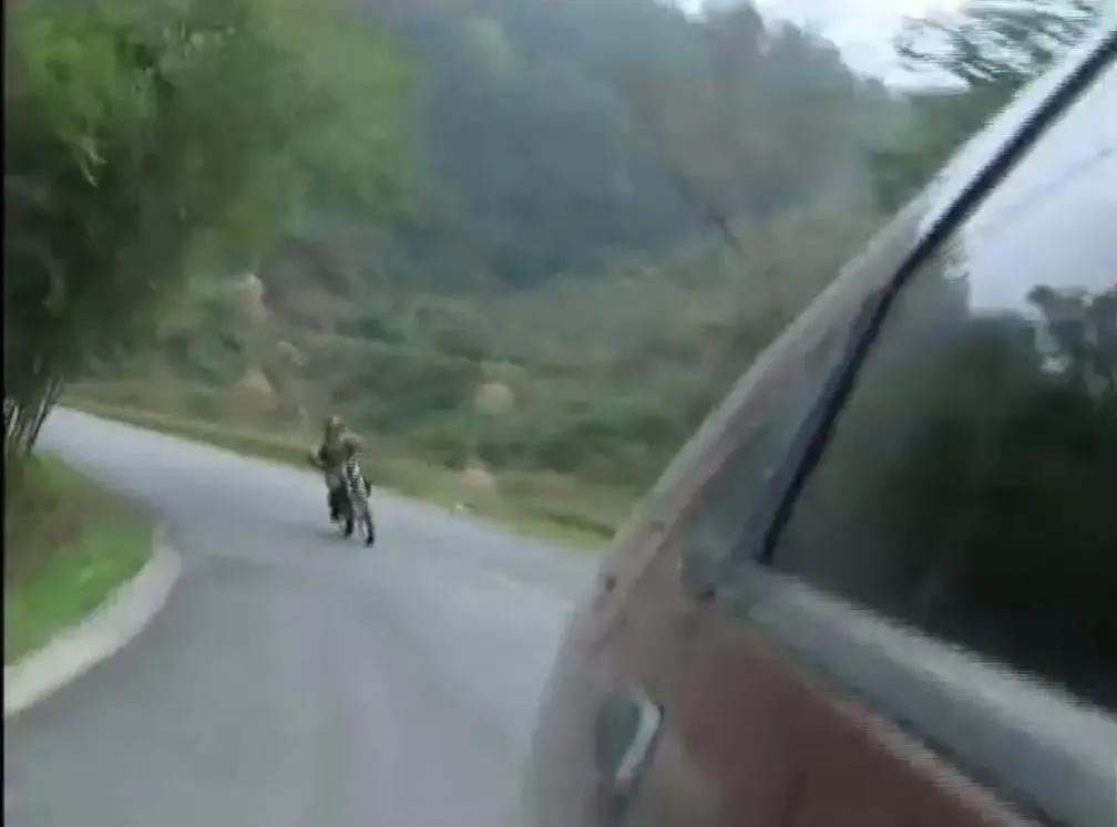 张雪在追车（湖南卫视视频截图）