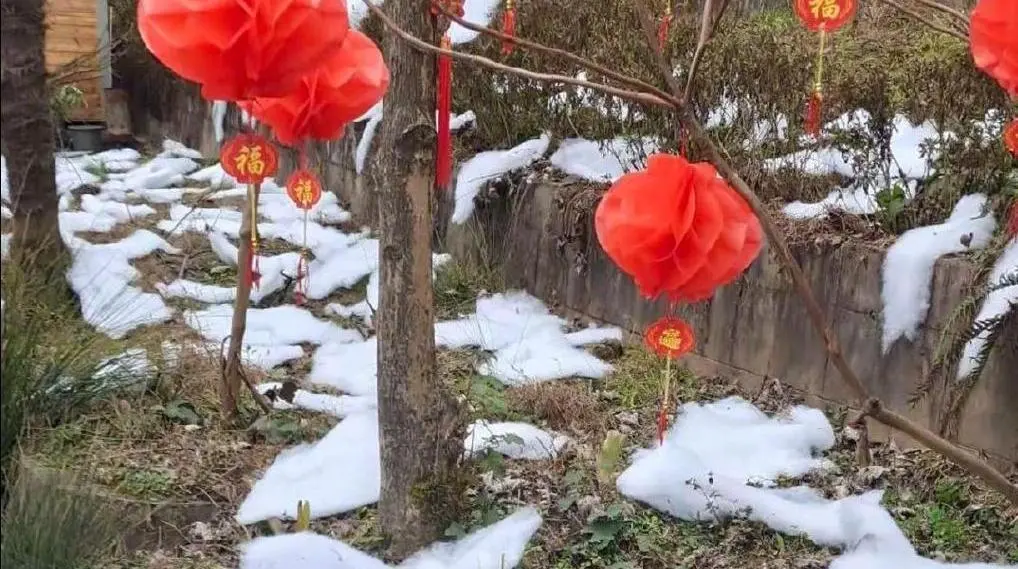 “棉花扮雪”的奇葩“创意”是怎么出炉的？