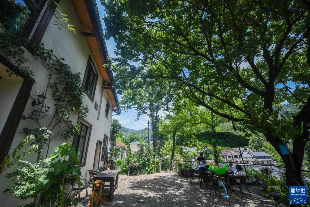 6月7日在杭州市临安区高虹镇“龙门秘境”村落景区内拍摄的一家由闲置村民旧房改造的特色民宿。