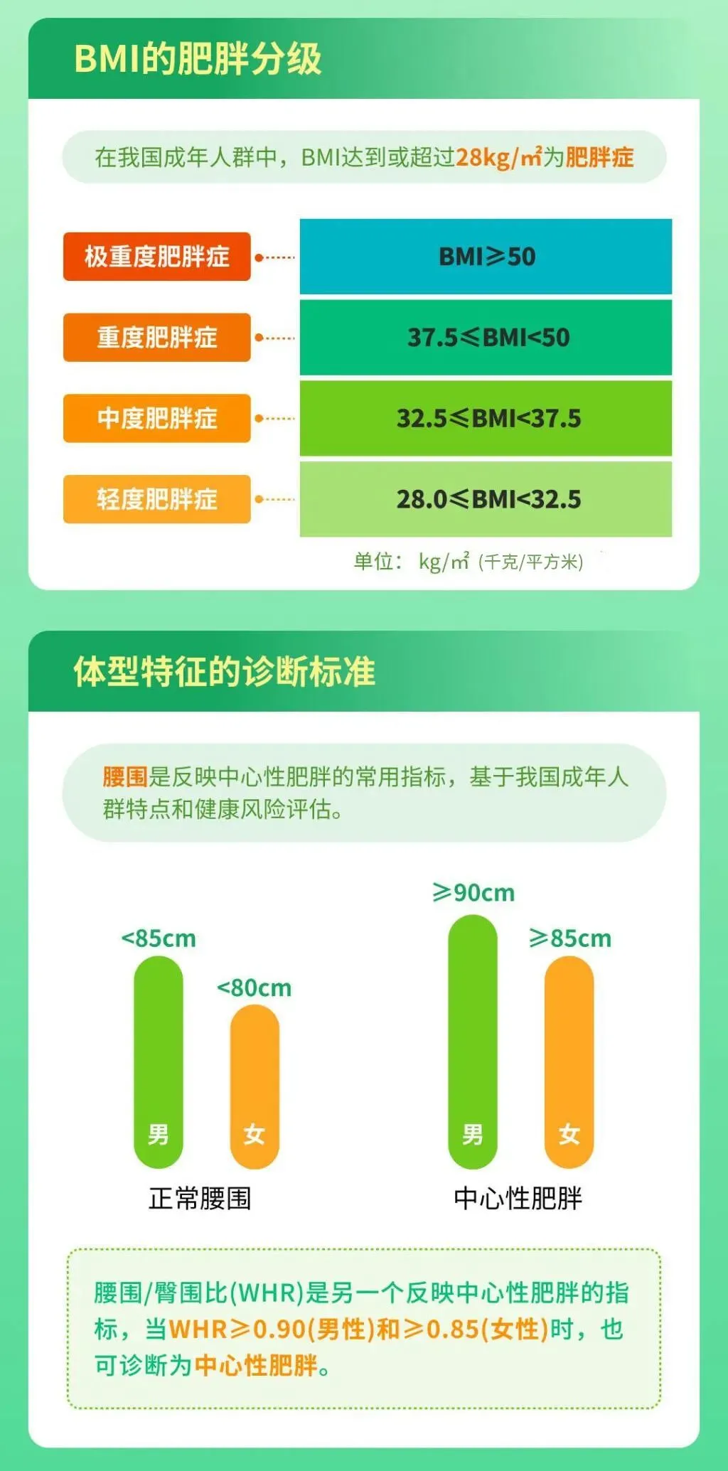 內(nèi)容自《肥胖癥診療指南（2024年版）》。人民日報(bào)健康客戶端圖