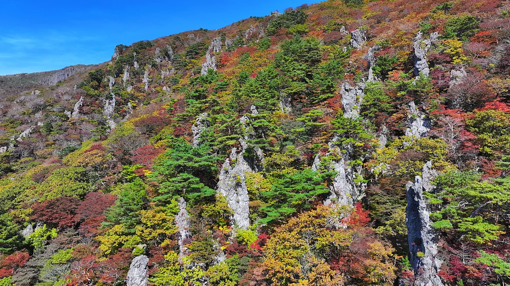 韩国汉拿山，资料图