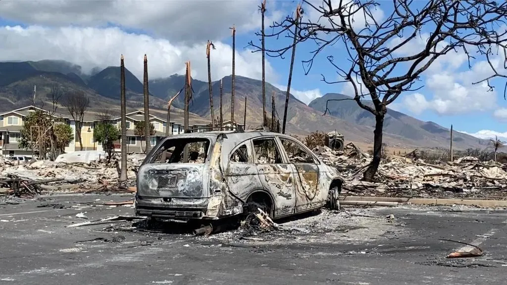 ·8月14日，美国夏威夷州毛伊岛，被野火烧毁的建筑和汽车残骸。新华社发（杨平俊摄）