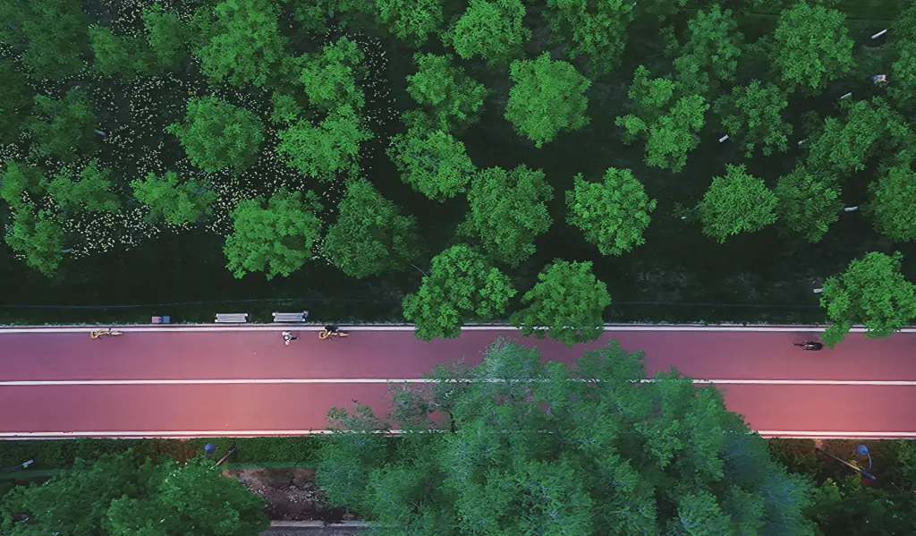 史爱兰说