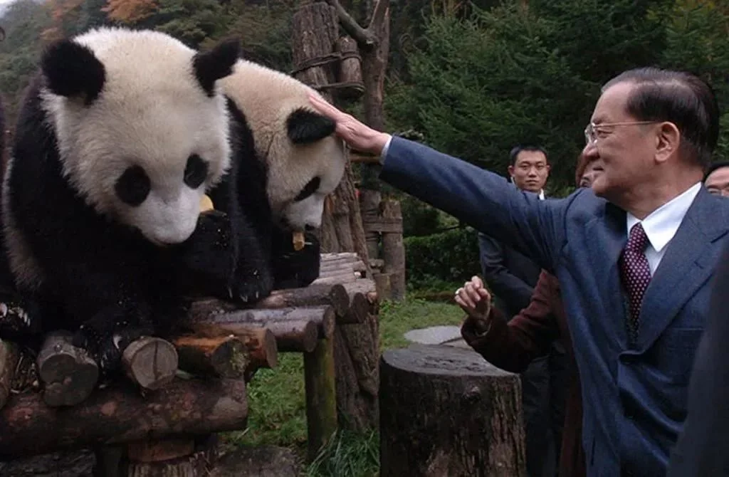 ▲2005年10月27日，中国国民党荣誉主席连战一行曾参观四川卧龙大熊猫自然保护区。新华社 资料图