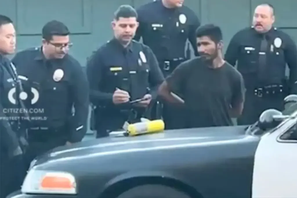 һ����ɽ���ݻ��ӷ���������ý��ϵ���˺������������