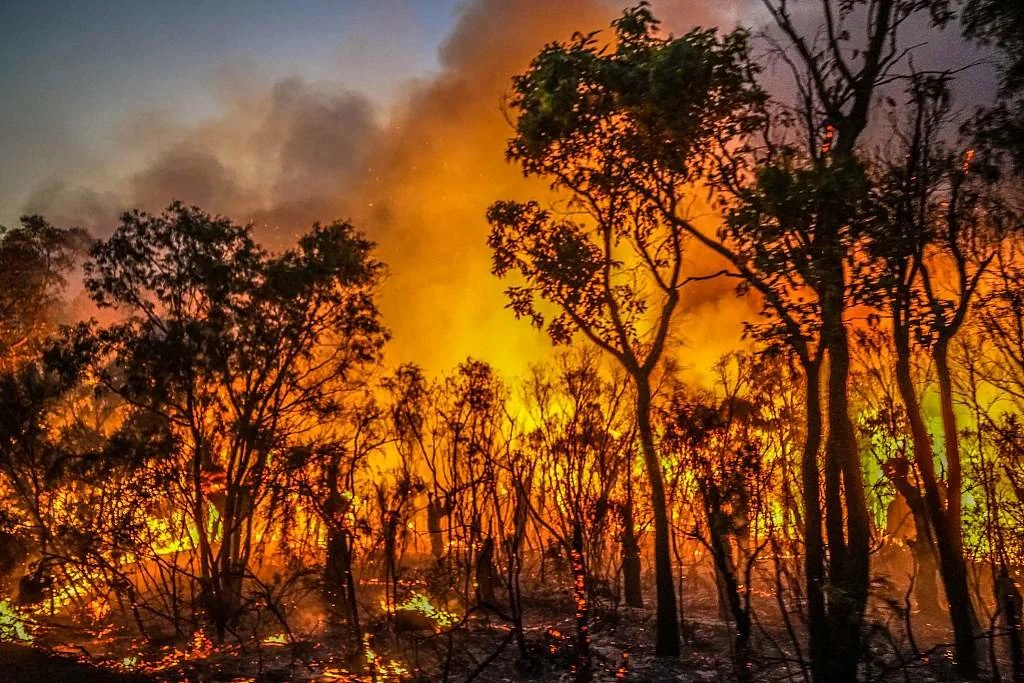 当地时间2021年12月8日，澳大利亚玛格丽特河附近发生火灾，森林陷入火光之中。