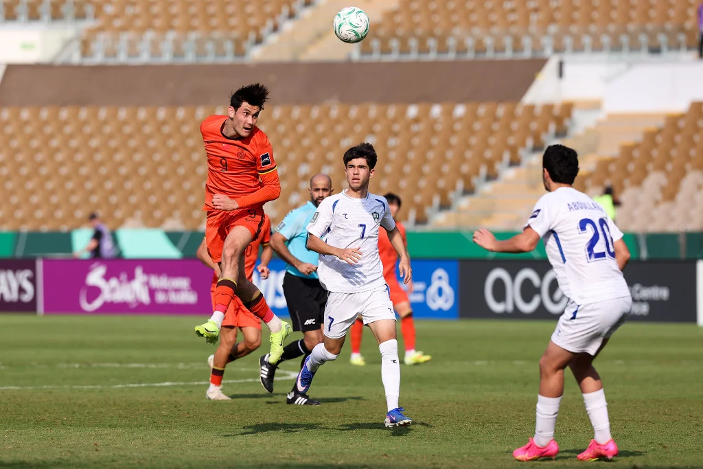 拜合拉木头球。