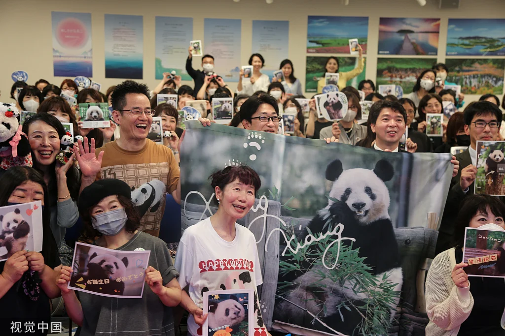 2023年6月12日，大熊猫“香香”生日会在日本东京中国文化中心举办（图源：视觉中国）