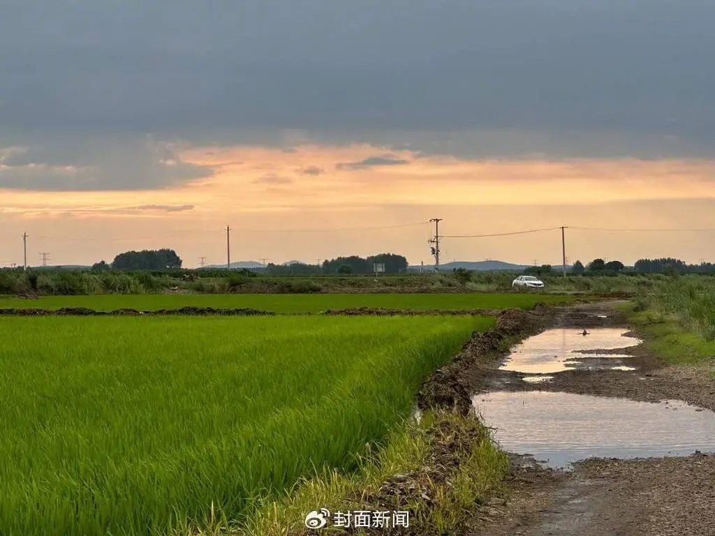洮儿河畔的农田