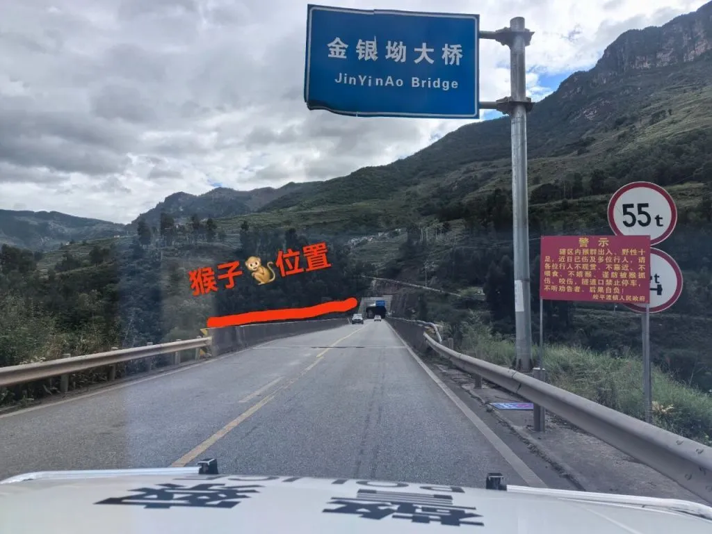 ·ͣϢҰ복ϮΥͣͶι