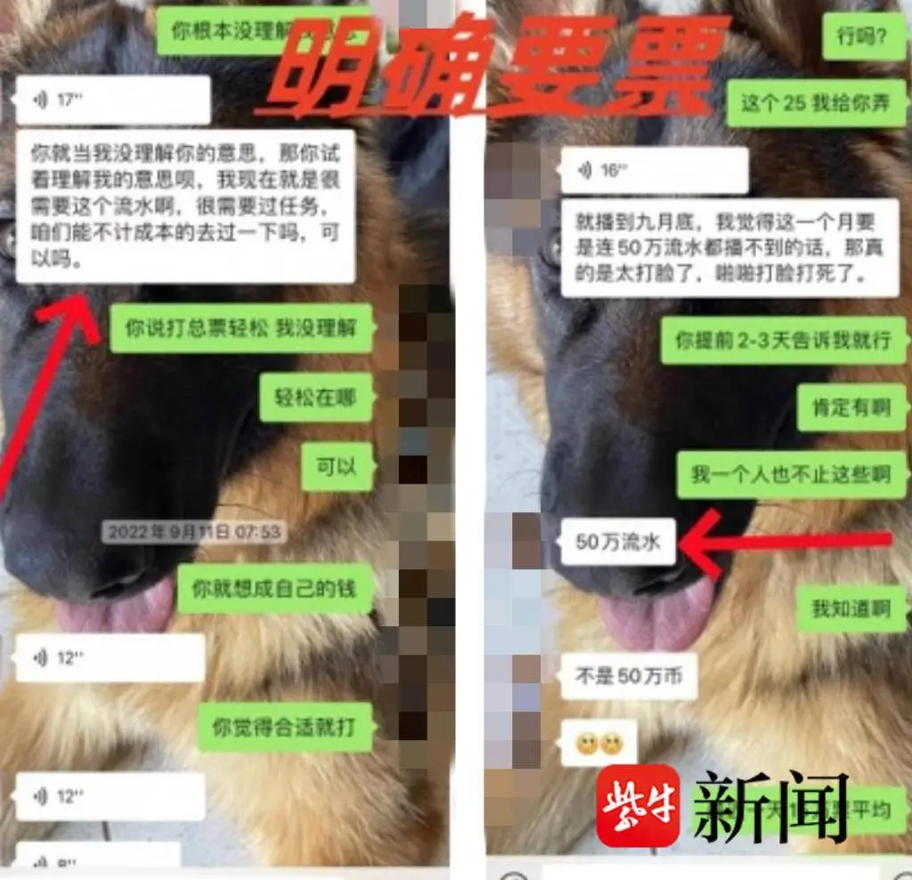 成某與張成的聊天記錄