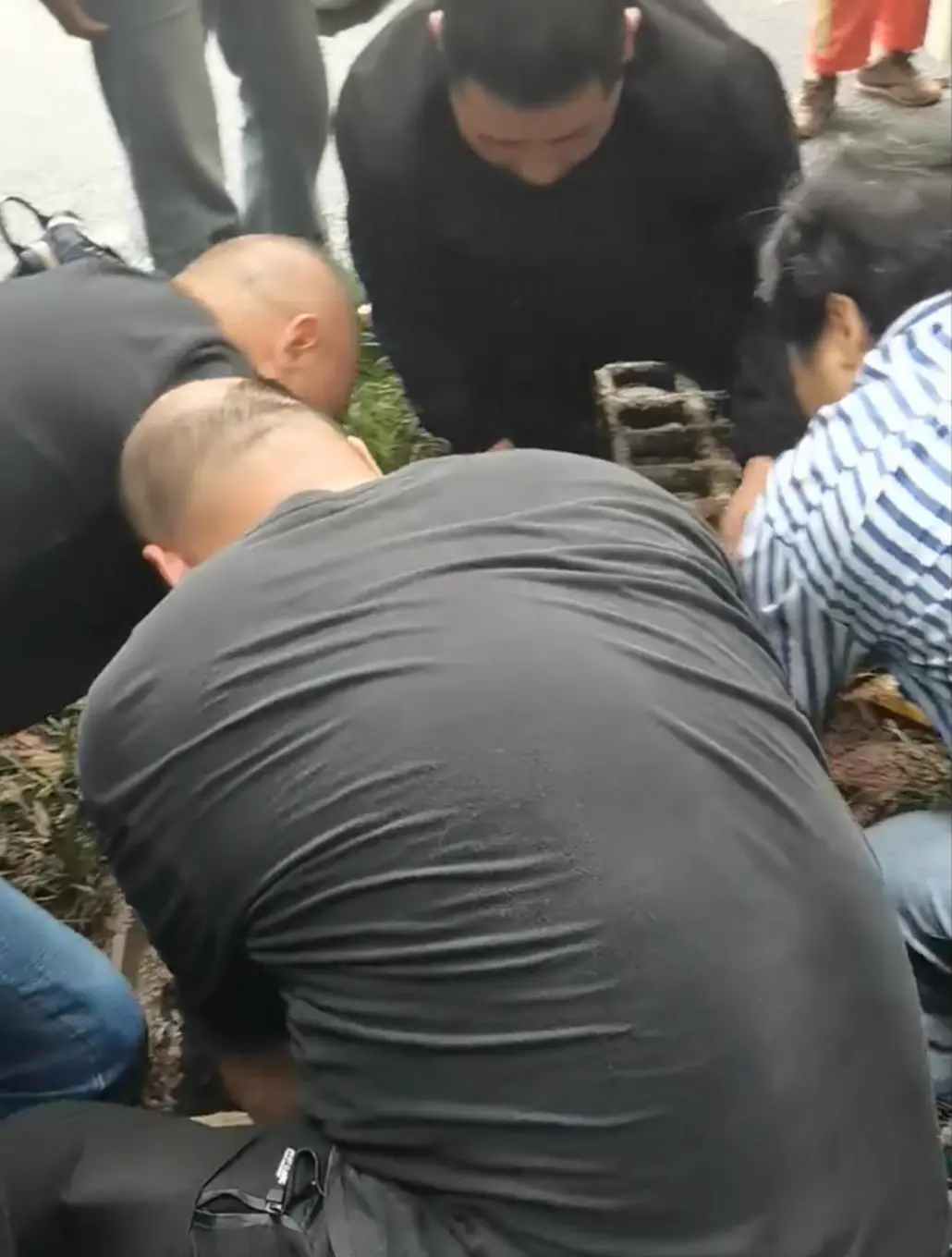 ������Э��Ӫ�� ��Ƶ��ͼ