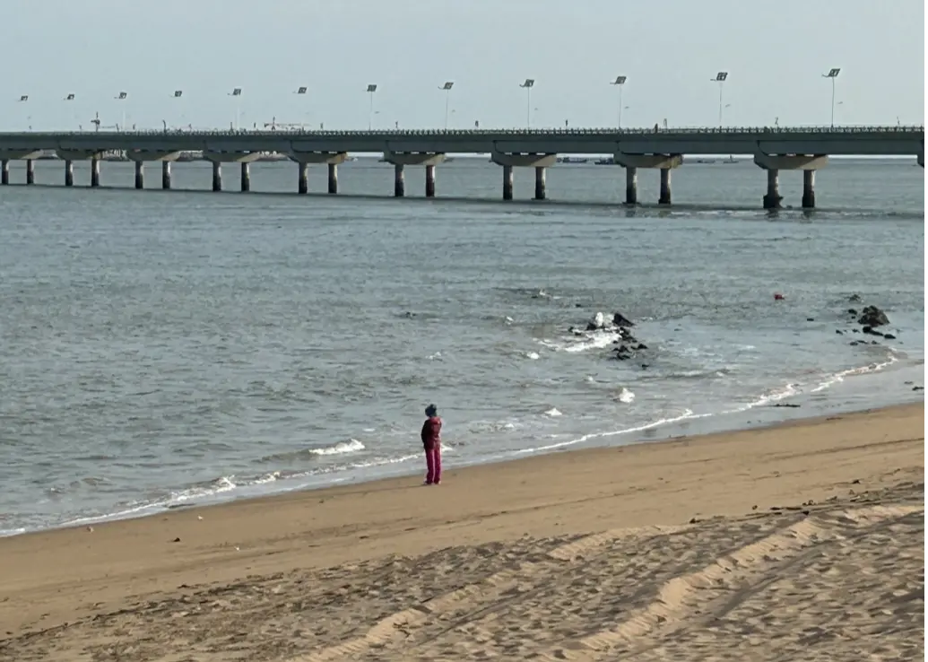 山东烟台，走访地之一。（图/受访者供图）